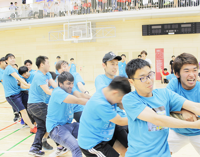 年間スケジュール