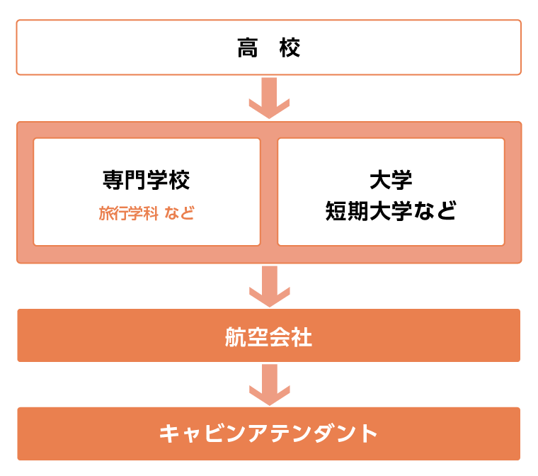 キャビンアテンダントになるには？